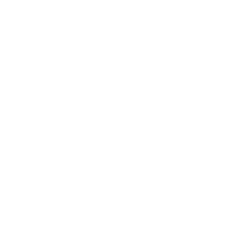 PistonSRV Logo